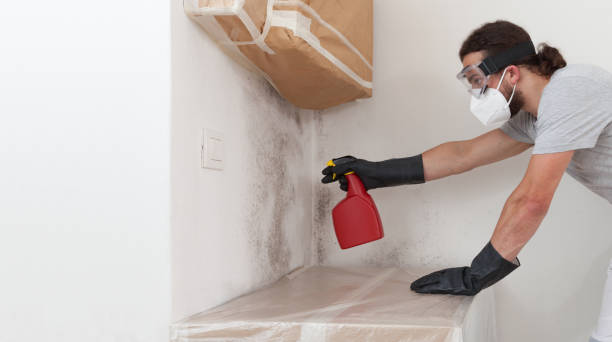 Professional Basement Mold Removal technician working in Merion Station, PA